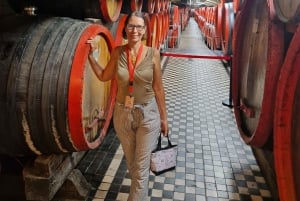 Budapest: Past & Future Tour with Unicum Tasting & MOL Visit