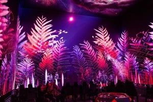 Budapest: PIXIM Immersive Experience Entry Ticket