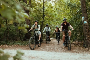 Budapest: Premium E-Bike Rental