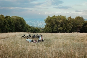 Budapest: Premium E-Bike Rental