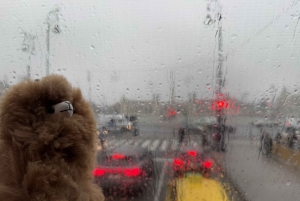 Budapeszt: Prywatna 4-godzinna wycieczka po mieście samochodem