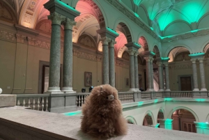 Budapeszt: Prywatna 4-godzinna wycieczka po mieście samochodem