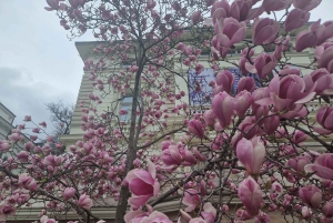 Budapest : visite privée de luxe avec un natif, en espagnol