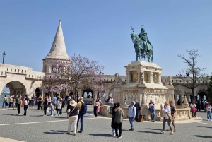 Budapest: tour privato di lusso con un madrelingua, in spagnolo