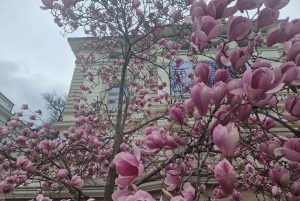 Budapest: tour privato di lusso con un madrelingua, in spagnolo