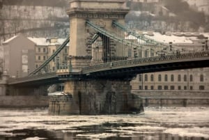 Budapest: Private Half Day Sightseeing Ride with Local