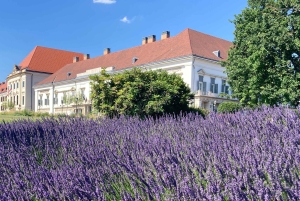 Budapest: privat sightseeing tur med allmänna kommunikationer