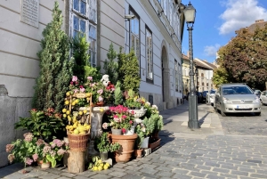 Budapest: privat sightseeing tur med allmänna kommunikationer