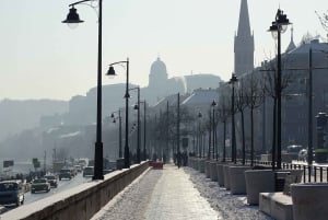 Budapest - Private Tour including Castle visit