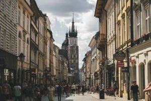 Budapest: Private transfer to Krakow or Krakow to Budapest