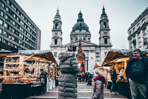 Visita privada a pie por Budapest