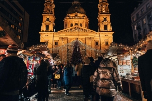 Visita privada a pie por Budapest