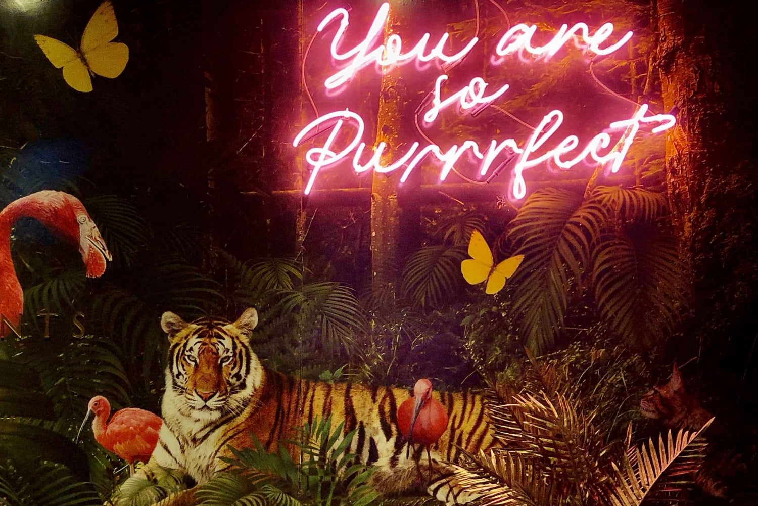 Budapeszt: ruin puby z lokalnym przewodnikiem i piwem