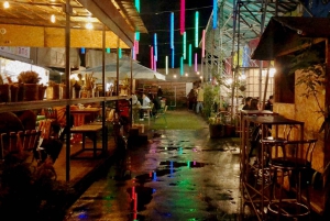 Budapest: Ruinen-Pub-Tour mit ortskundigem Guide und Bier