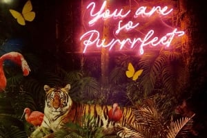 Budapeszt: ruin puby z lokalnym przewodnikiem i piwem