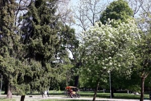 Budapest: Opastettu juoksukierros ja kansanmusiikkiesitys