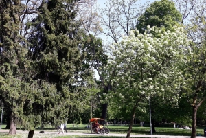 Budapeszt: wycieczka z przewodnikiem i występ muzyki ludowej