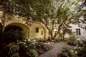 Budapest: Guidet gåtur i Buda's gamle bydel