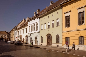 Budapest: Guidet gåtur i Buda's gamle bydel