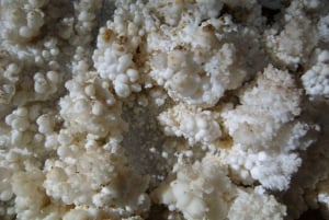 Boedapest: Semlő-hegyi & Pál-völgyi Grotten Rondleiding met gids