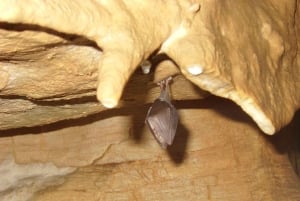 Boedapest: Semlő-hegyi & Pál-völgyi Grotten Rondleiding met gids