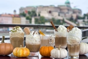 Crucero turístico por Budapest con bebida de bienvenida