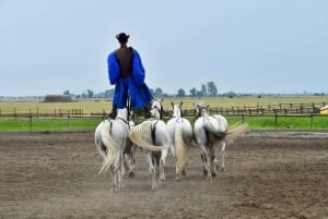Budapest: Sisi Palace Tour with Hungarian Horse Show & Lounas
