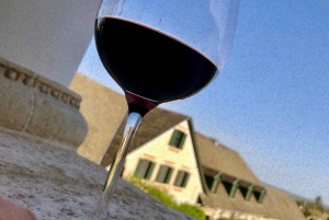 Budapest: Taller de fotografía con móvil con un profesional