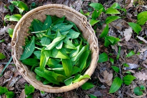 Budapest: Taller de fotografía con móvil con un profesional