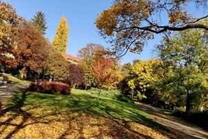 Budapest: Taller de fotografía con móvil con un profesional