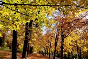 Budapest: Taller de fotografía con móvil con un profesional