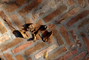 Budapest: Taller de fotografía con móvil con un profesional