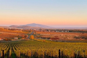 Budapest: Taller de fotografía con móvil con un profesional