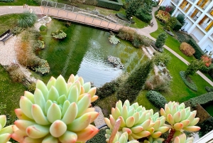 Budapest: Taller de fotografía con móvil con un profesional