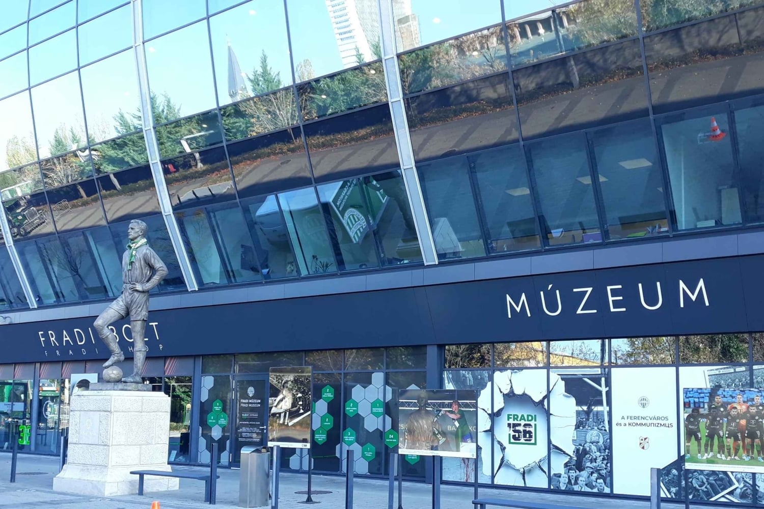 Budapest: Tur for fodboldfans og folkemusik