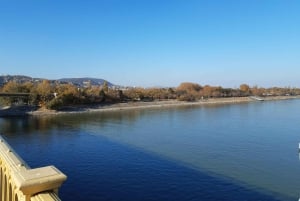 Budapest: Soccer Lover Tour with Hungarian Folk Music