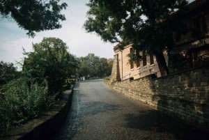 Boedapest: dagtrip naar het schiereiland Tihany met wandeling en abdijbezoek