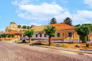 Budapest to Esztergom Basilica Private Day Trip with Tickets