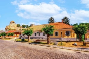 Budapest to Esztergom Basilica Private Day Trip with Tickets