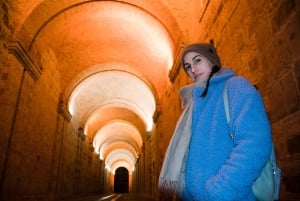 Budapest to Esztergom Basilica Private Day Trip with Tickets