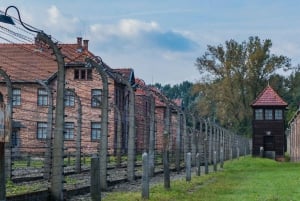Budapest: Tour to Auschwitz Birkenau