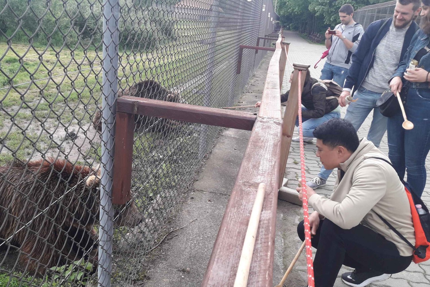 Budapest: Transport & Guided Tour of Bear and Wolf Sanctuary