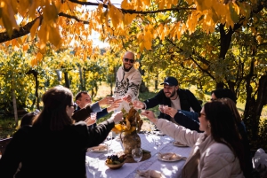 Budapest: Truffle Hunt, Foie Gras, Wine Tasting and Lunch