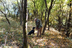 Budapest: Truffle Hunt, Foie Gras, Wine Tasting and Lunch