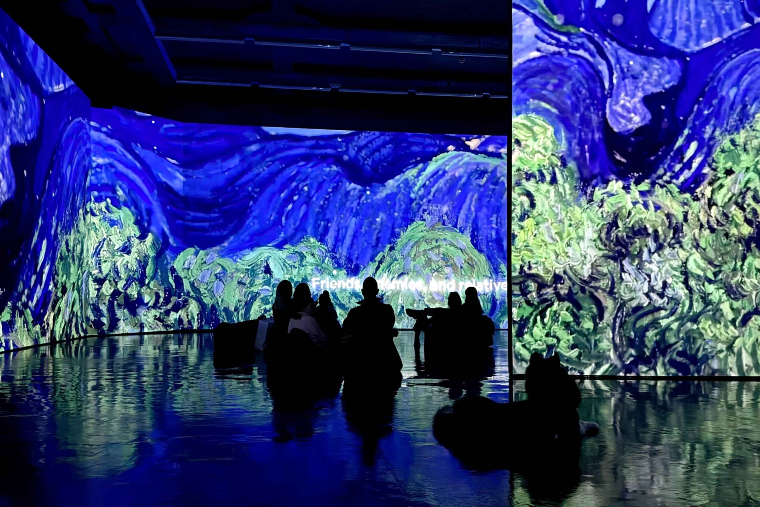 Budapeste: Ingresso para a Exposição Imersiva Van Gogh