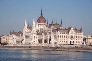 Castle District & Pest Driving Tour with Danube River Cruise