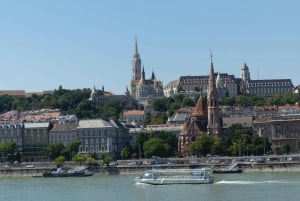 Castle District & Pest Driving Tour with Danube River Cruise