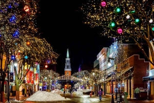 Joyas navideñas de Budapest: tour privado a pie