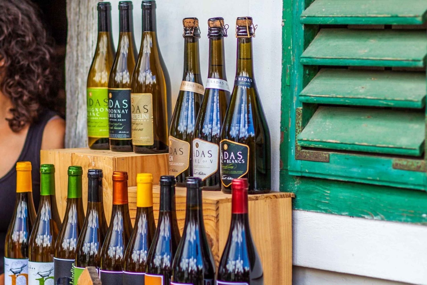 Cerca de Budapest: Cata de vinos en una pequeña y acogedora bodega familiar