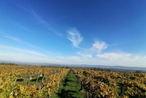 Blisko Budapesztu: degustacja wina w małej przytulnej rodzinnej winiarni